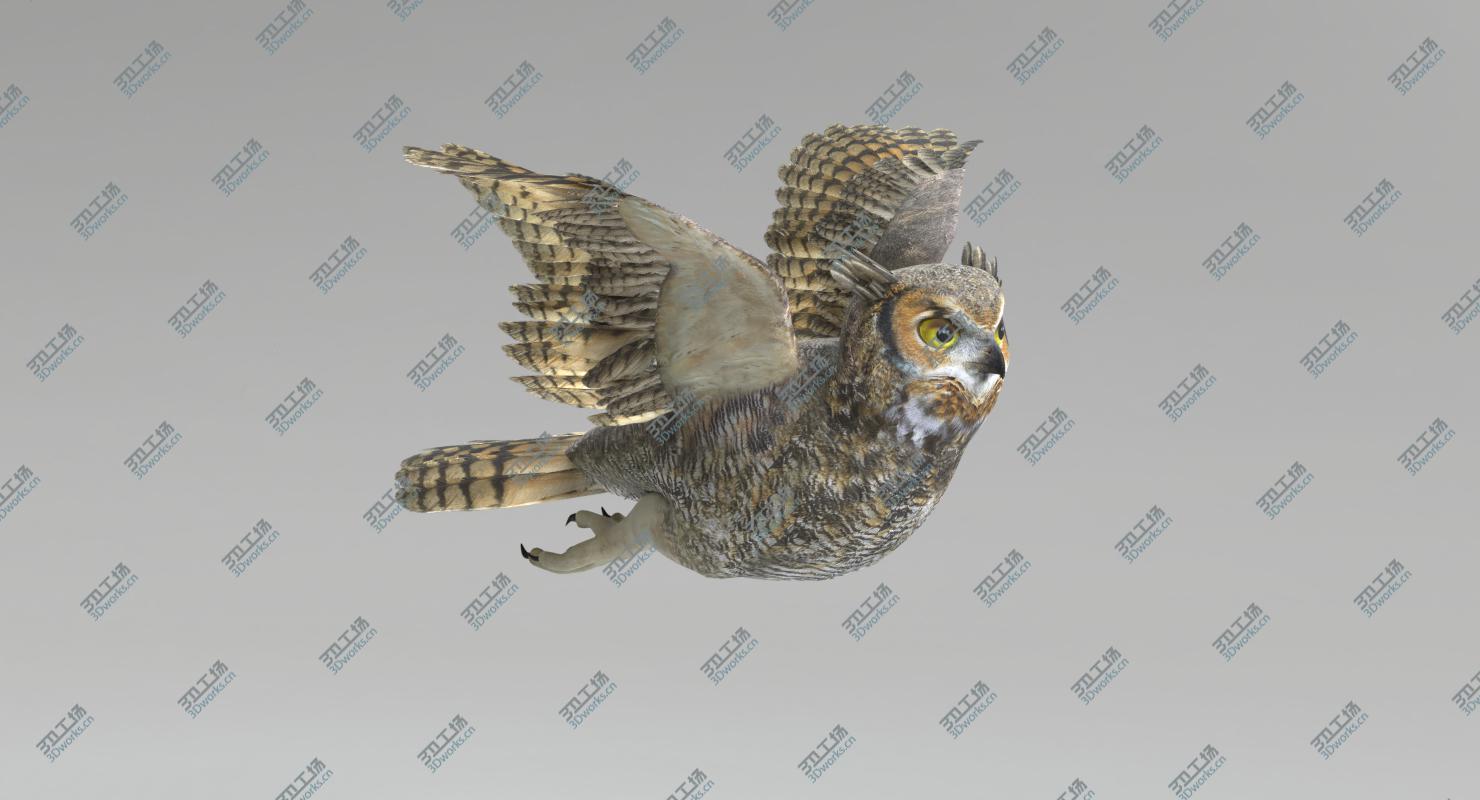 images/goods_img/20210319/3D Animated Birds Set/4.jpg